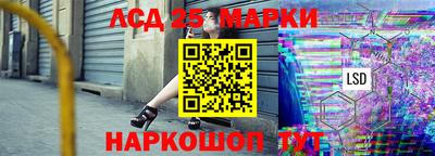 молекула духа Кулебаки