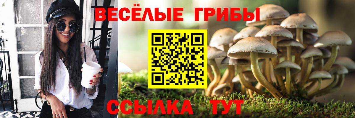 Заволжье  Псилоцибиновые грибы прущие грибы  Галлюциногенные грибы Magic Shrooms  Вход с VPN 